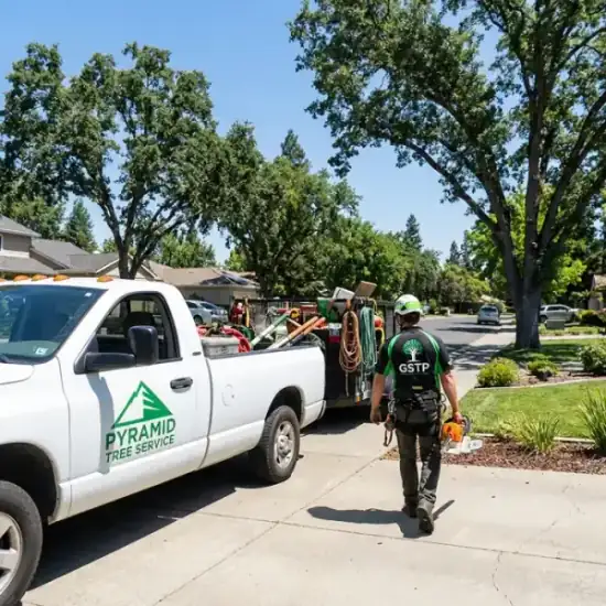Best Choice Tree Service truck arriving at a Houston residential job