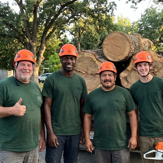 Best Choice tree crew with a truck loaded with oak logs in Houston