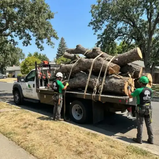 Tree service truck loaded with branches after a Houston job