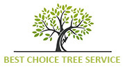 Best Choice Tree Service